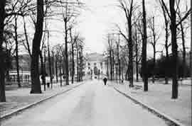 Viale di Villa Amoretti