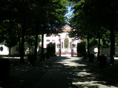 viale di accesso Villa Amoretti