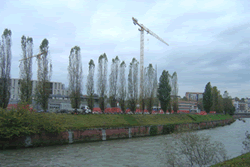 sponde del TORRENTE DORA