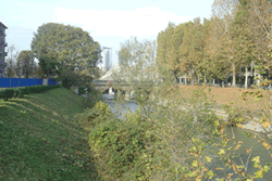 sponde del TORRENTE DORA